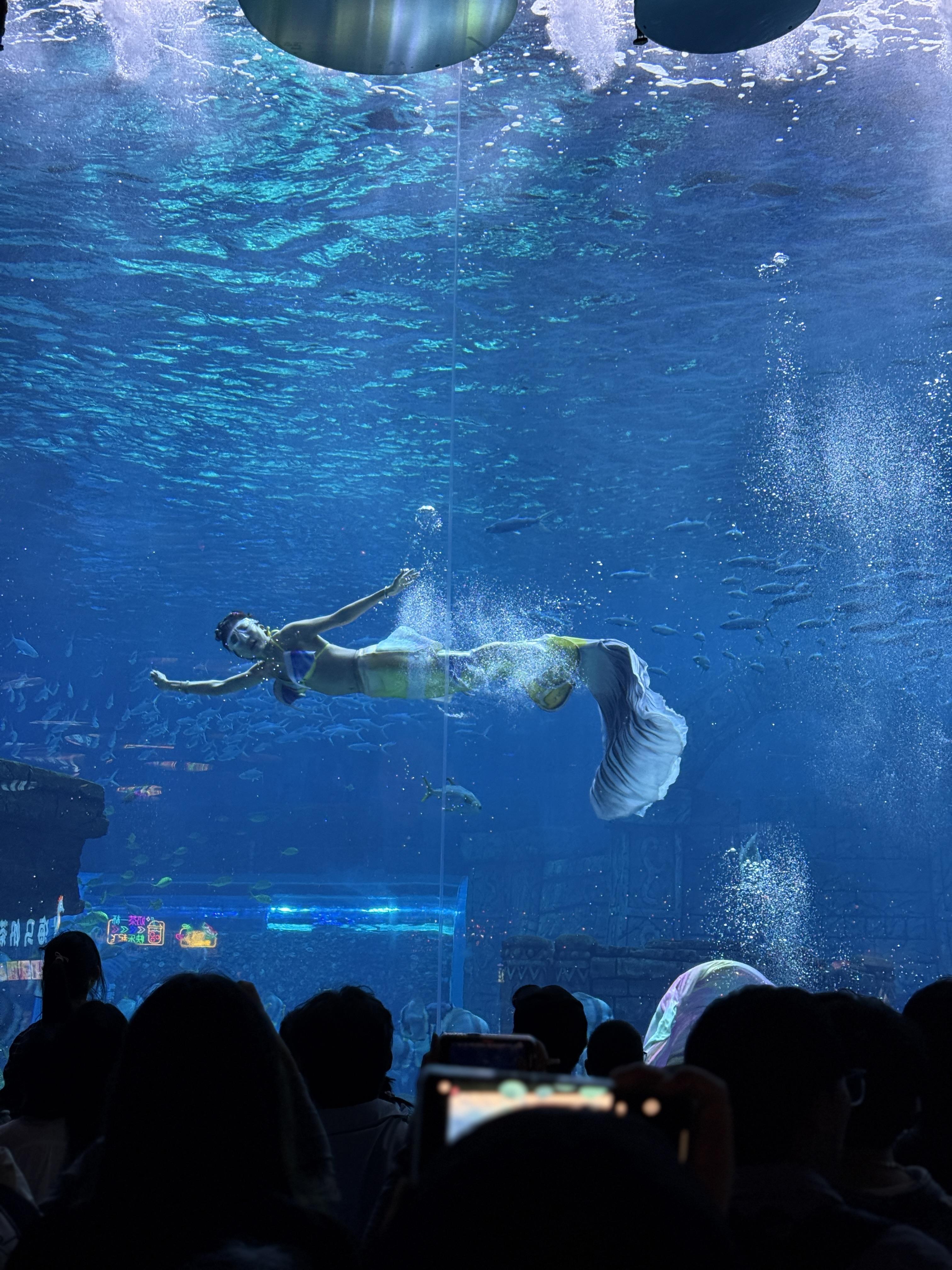 美人鱼正在表演