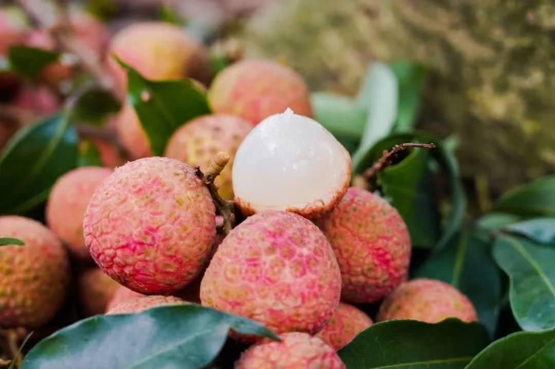 微信图片_20250619175118