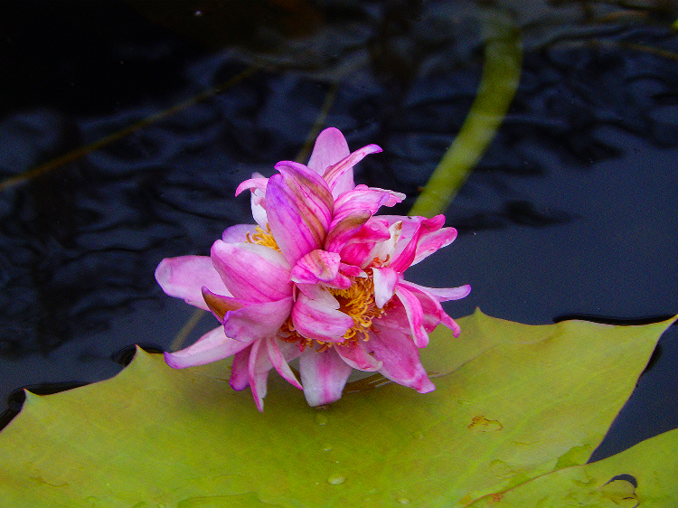 1747028100234054811.png 1747028100234054811.png