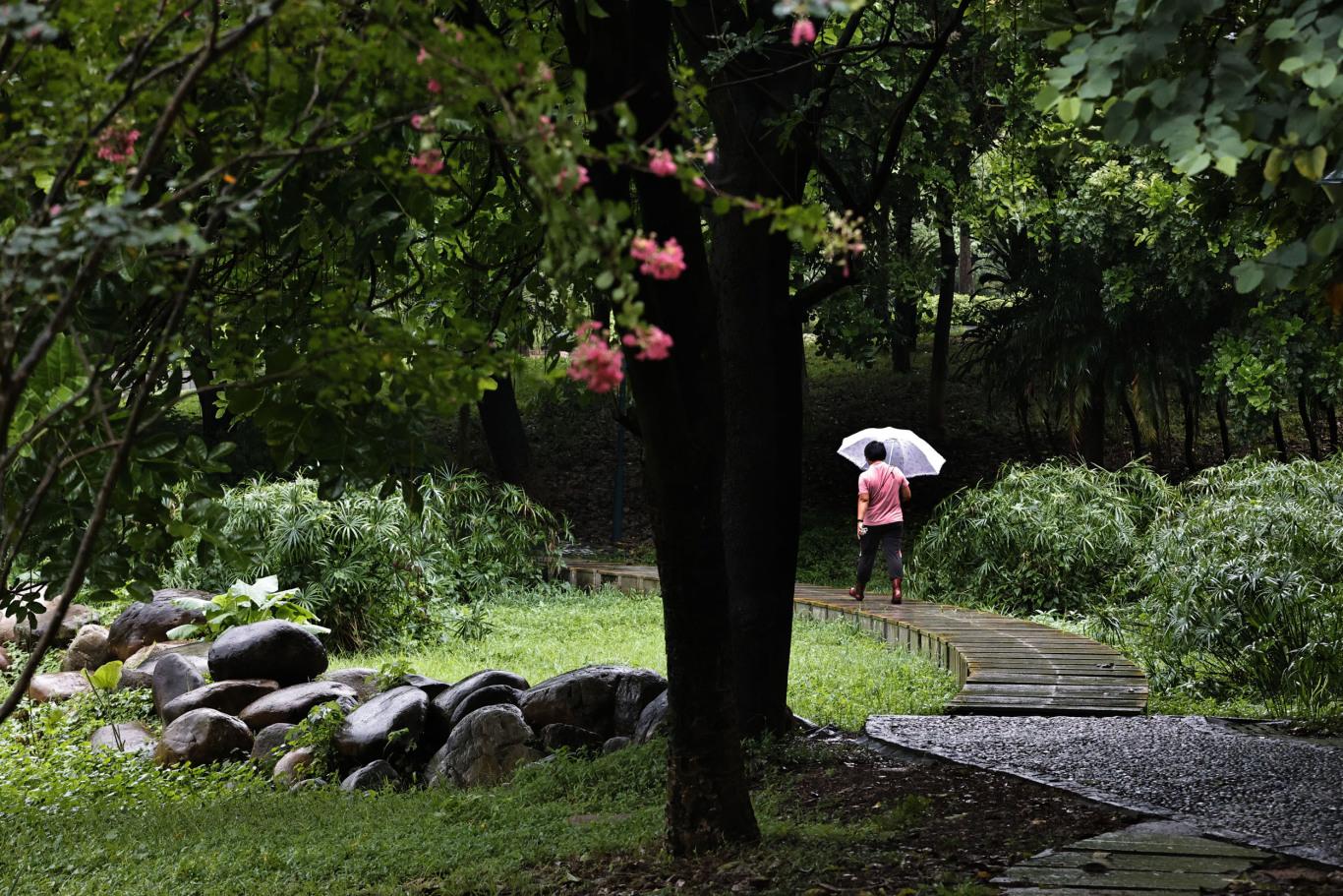 高鹤涛-华农花鸟灵动 鄱阳湖里泛涟漪-FZ100212465020.jpg