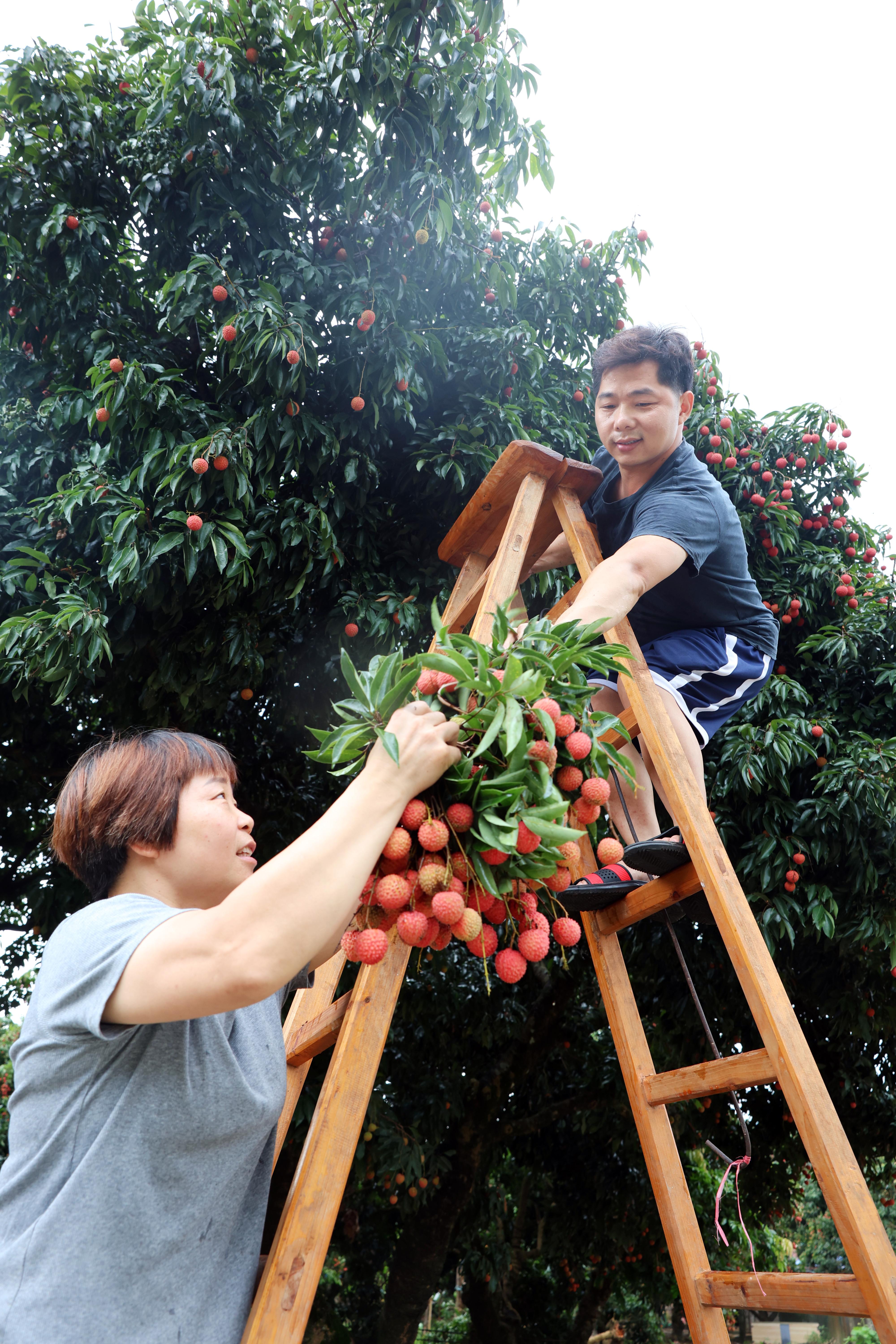 微信图片_20250702120631