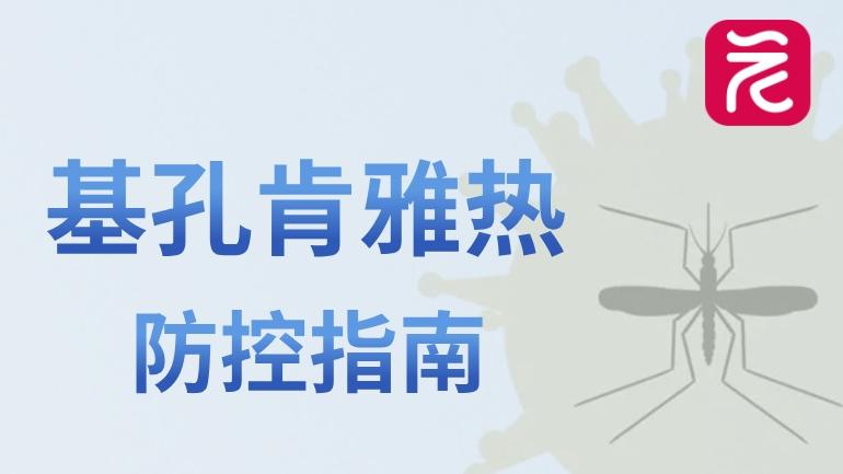 一图读懂 | 怎么突然冒出个“基孔肯雅热”？重点都帮你划好了→