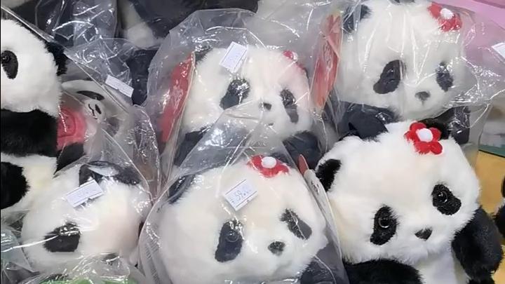 【视频】来南国书香节体验各地文化特色！