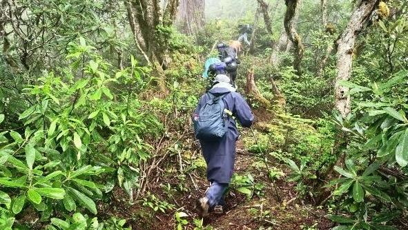 ​广东将大规模用上“西藏电”，藏粤直流工程启动建设