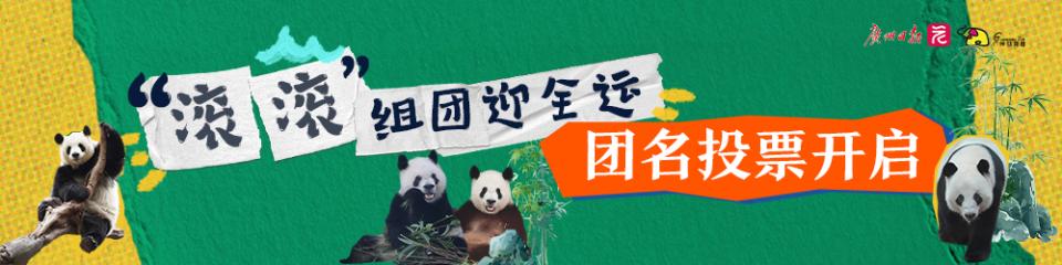 Pick你心中的最佳团名，助广州动物园“滚滚”天团闪耀出道！