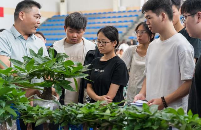 全市唯一！花都又一典型案例入选“国家级”