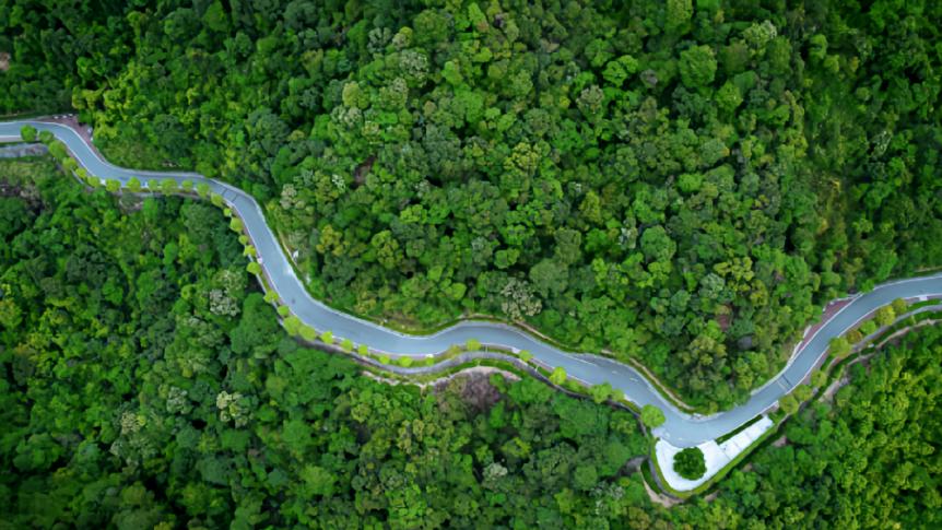 登高点推荐、交通指引、热门活动……重阳登高，看这一篇就够了！