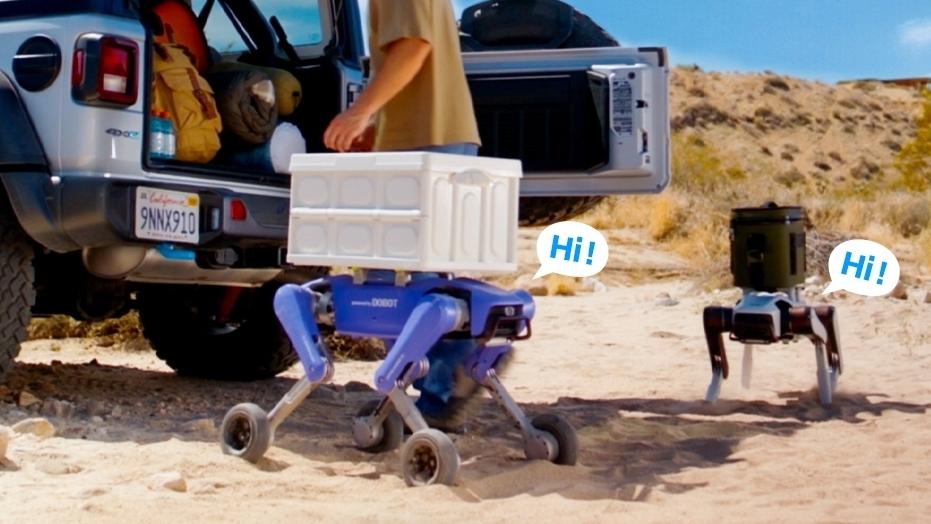 视频丨手机价格买全球首款家庭智能体机器人？这家深企做到了