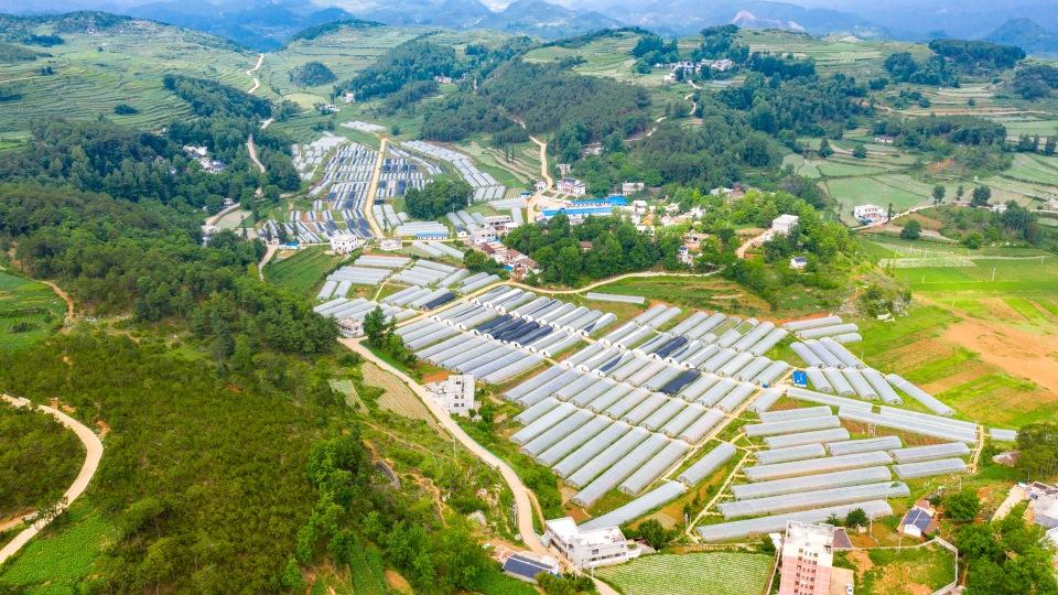 一个鸡蛋的72小时：赫章山货“飞”进大湾区