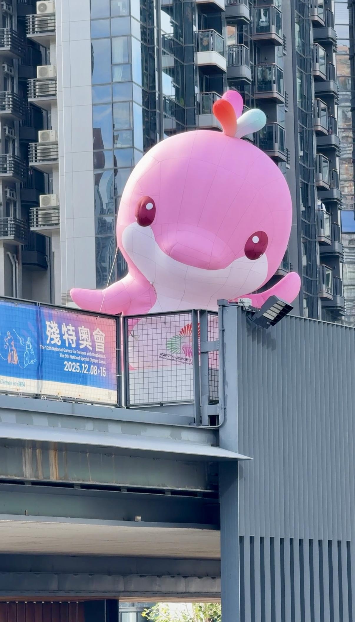 微信图片_2025-11-16_201257_589