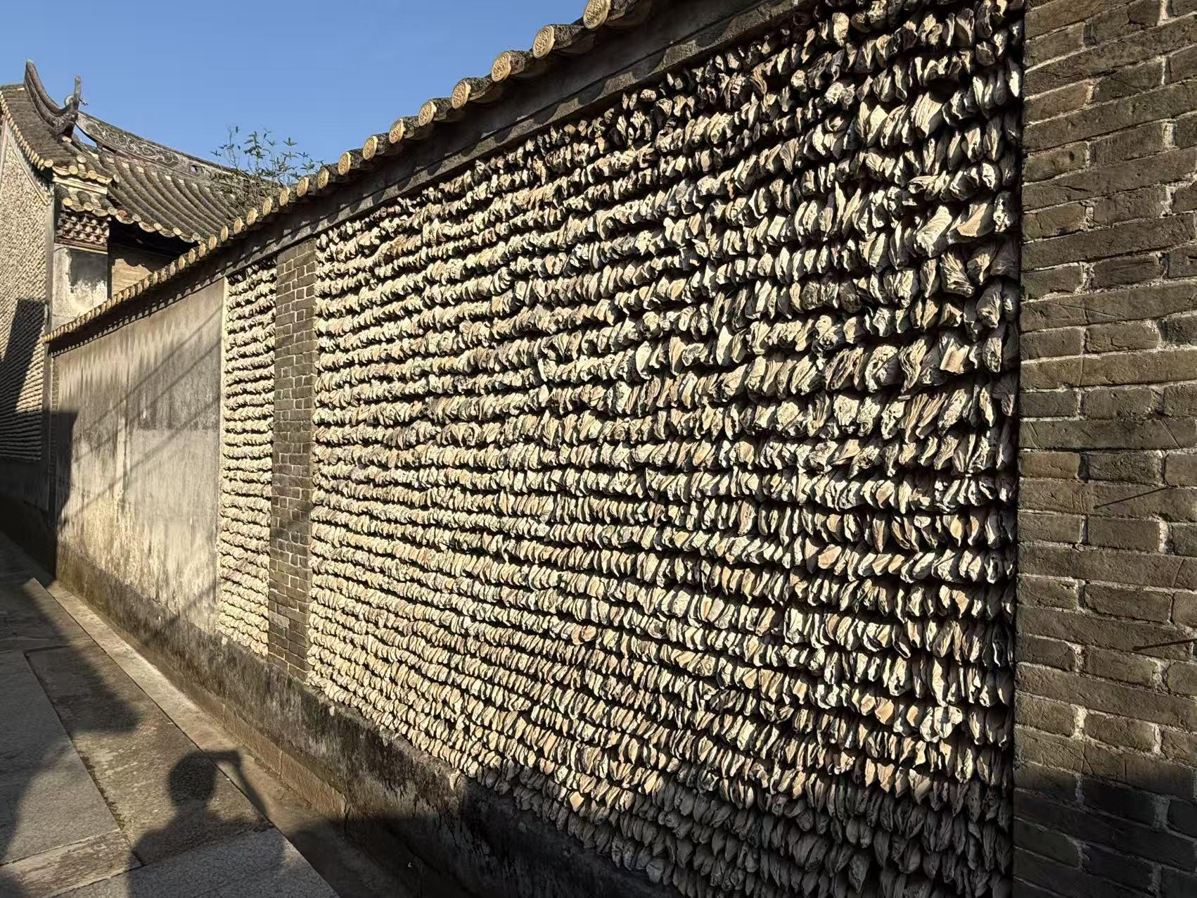 微信图片_20251117142058_149_86