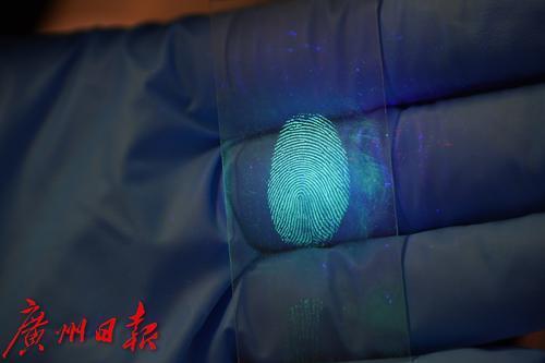 防伪、禁毒、测基孔、探肿瘤……聚集诱导发光应用广泛