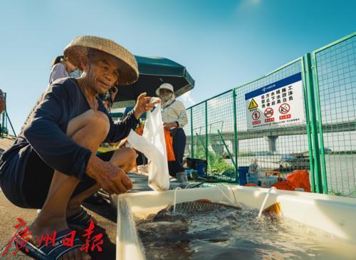 这座每天只开放两小时的临时码头，成了柔性管理的民心桥