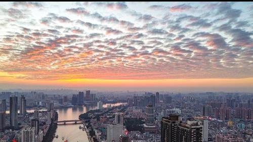 周末广州好天气，鱼鳞云伴夕阳