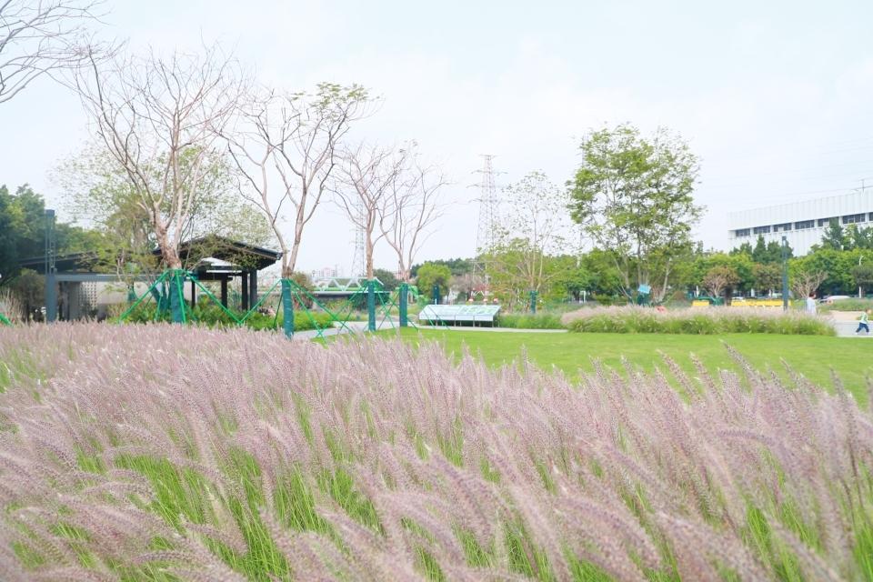 广州扶胥古运河明年开放夜游