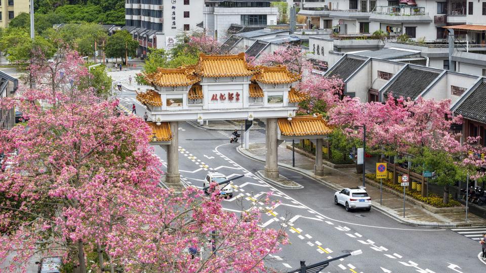 “泉心泉意从化等你”！2025从化温泉文化旅游节启动