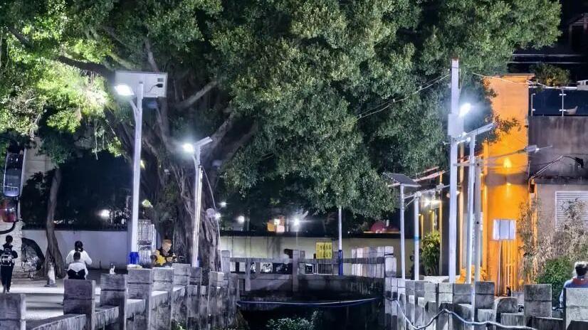 大塘涌“亮”出新颜值！社区办实事，路灯暖民心