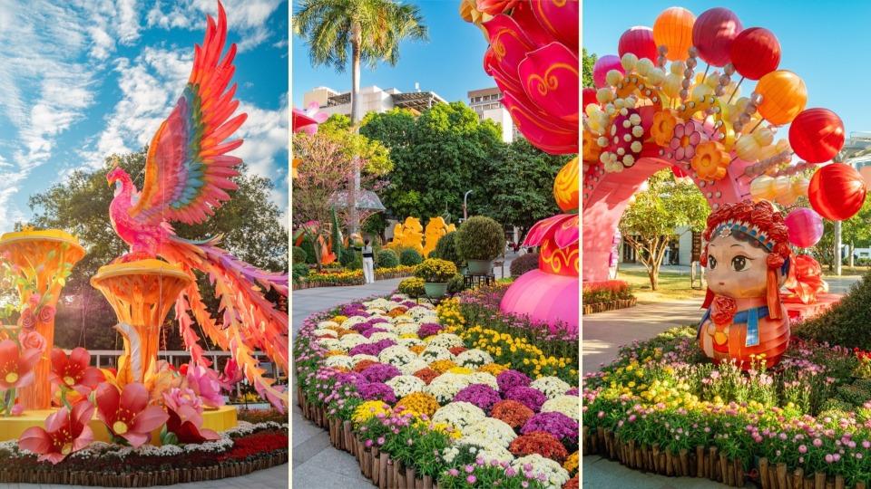 视频+多图 | 广州4万盆菊花打造出视觉盛宴，本周进入最佳观赏期！凤凰展翅、河马举重、松鼠踢球……真的好绝！