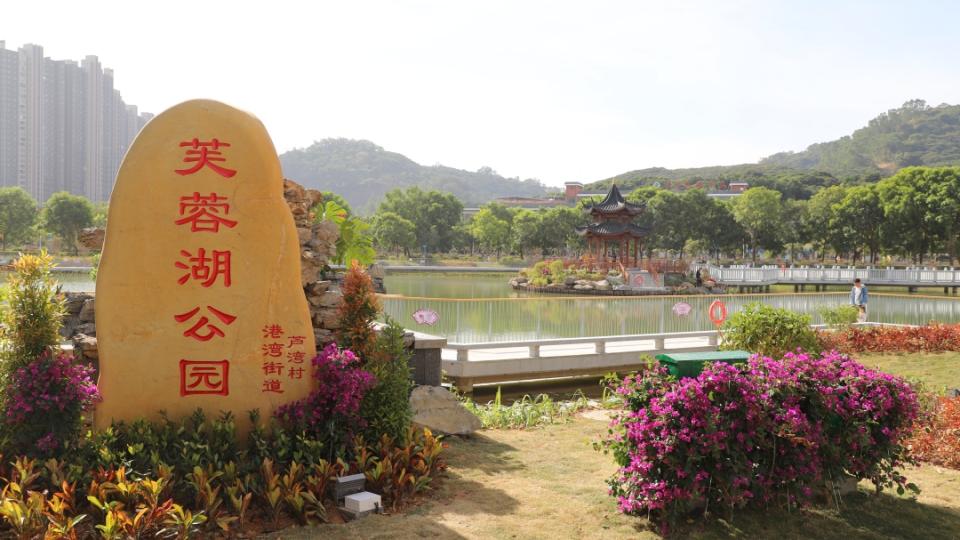 南沙 | 芦湾芙蓉湖公园盛装开湖，“百千万工程”点亮水乡新景