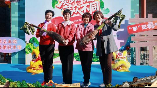 竞拍再创新高！广州花都第八届芋头节开幕