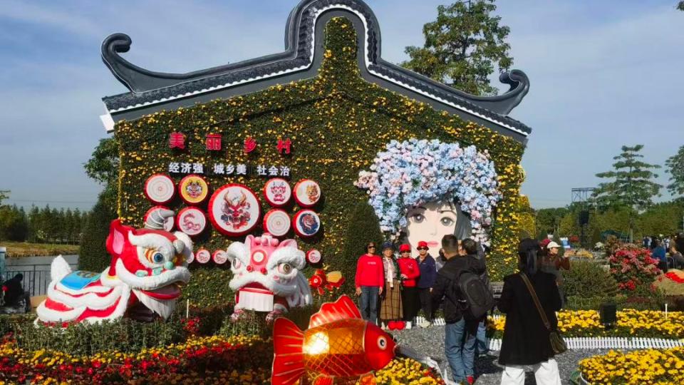 在花海中感受非遗魅力，中山小榄菊花会启幕