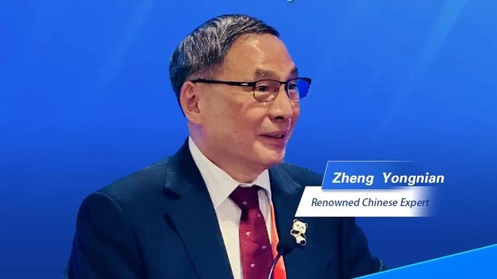 读懂中国丨郑永年：中国不输出模式，但提供“梯子”