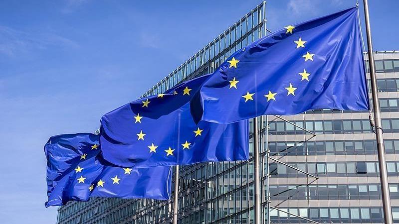 欧盟前外交和安全政策高级代表遭调查