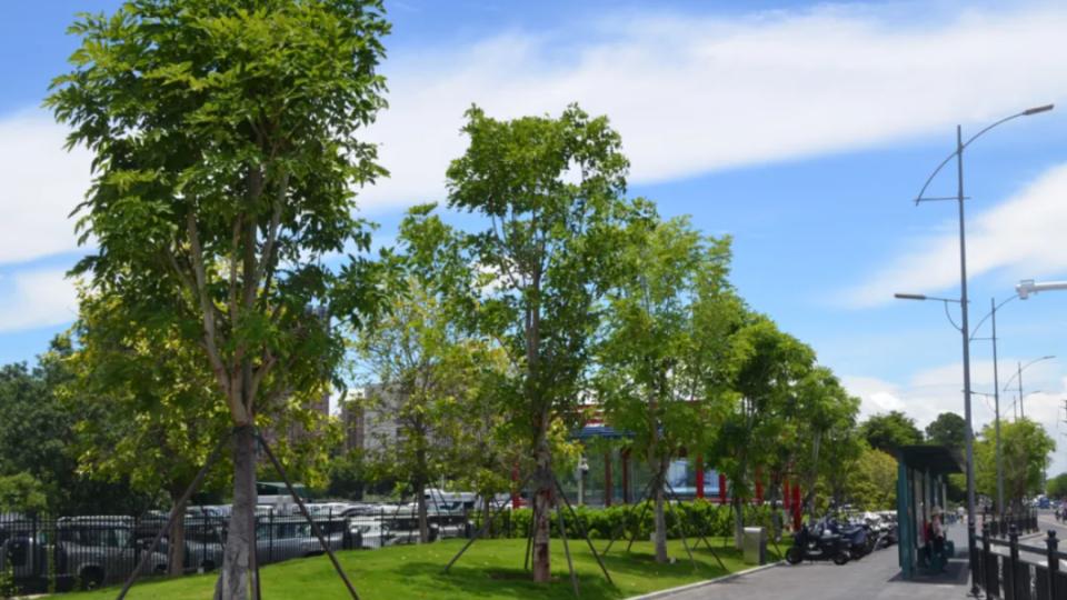 海珠区“口袋公园”上新，小微绿地点亮城市“方寸之美”