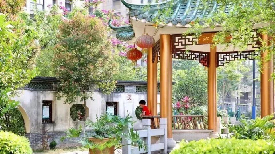 南村镇多所学校上榜，快来看有没有你的母校