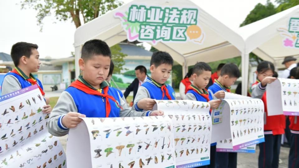 2025年广东林业宪法宣传周活动在江门举办
