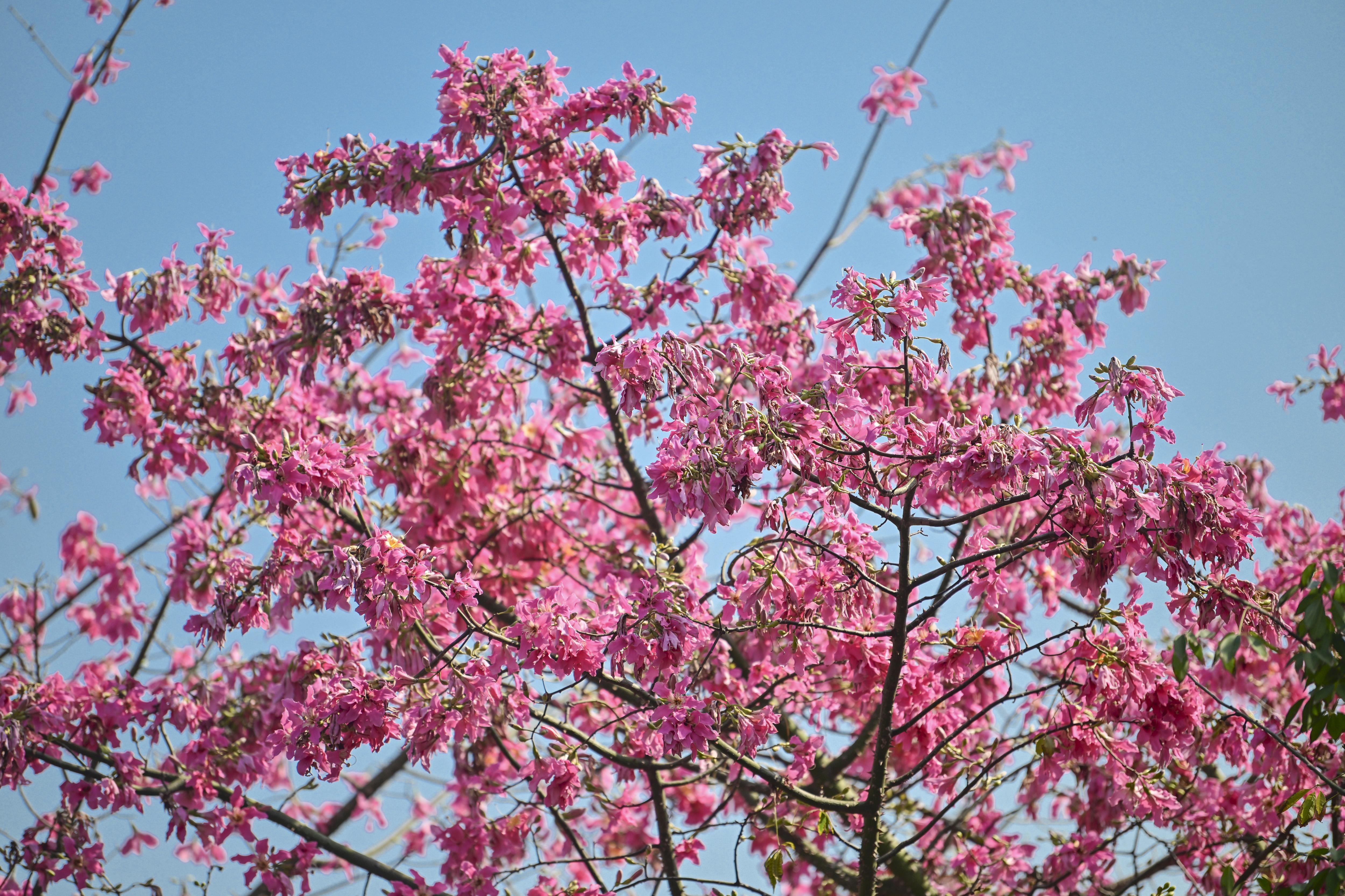 廖雪明-lxm2512042 (4)-NEP1_20251204_C00414790813.jpg