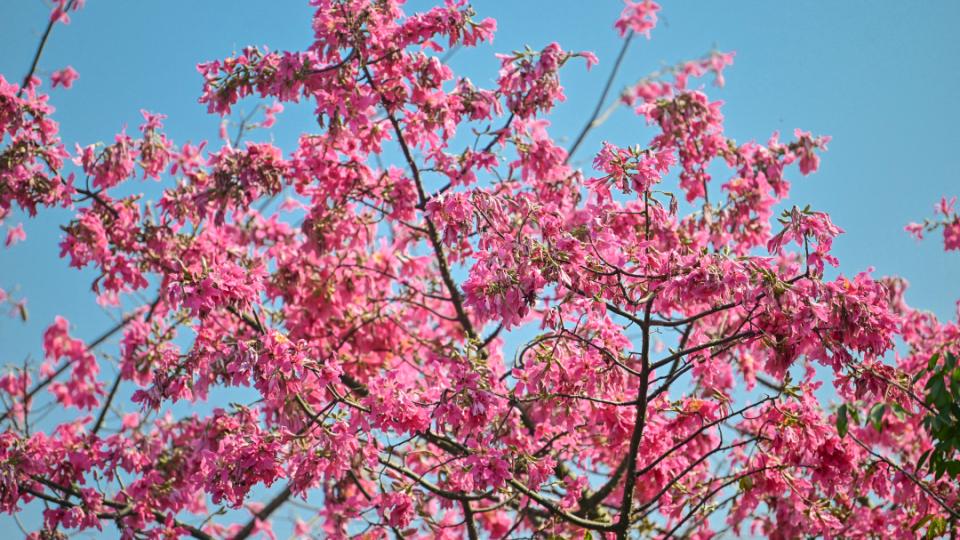 早参｜今起广州部分区域开始限行；下周广州又将有明显降温