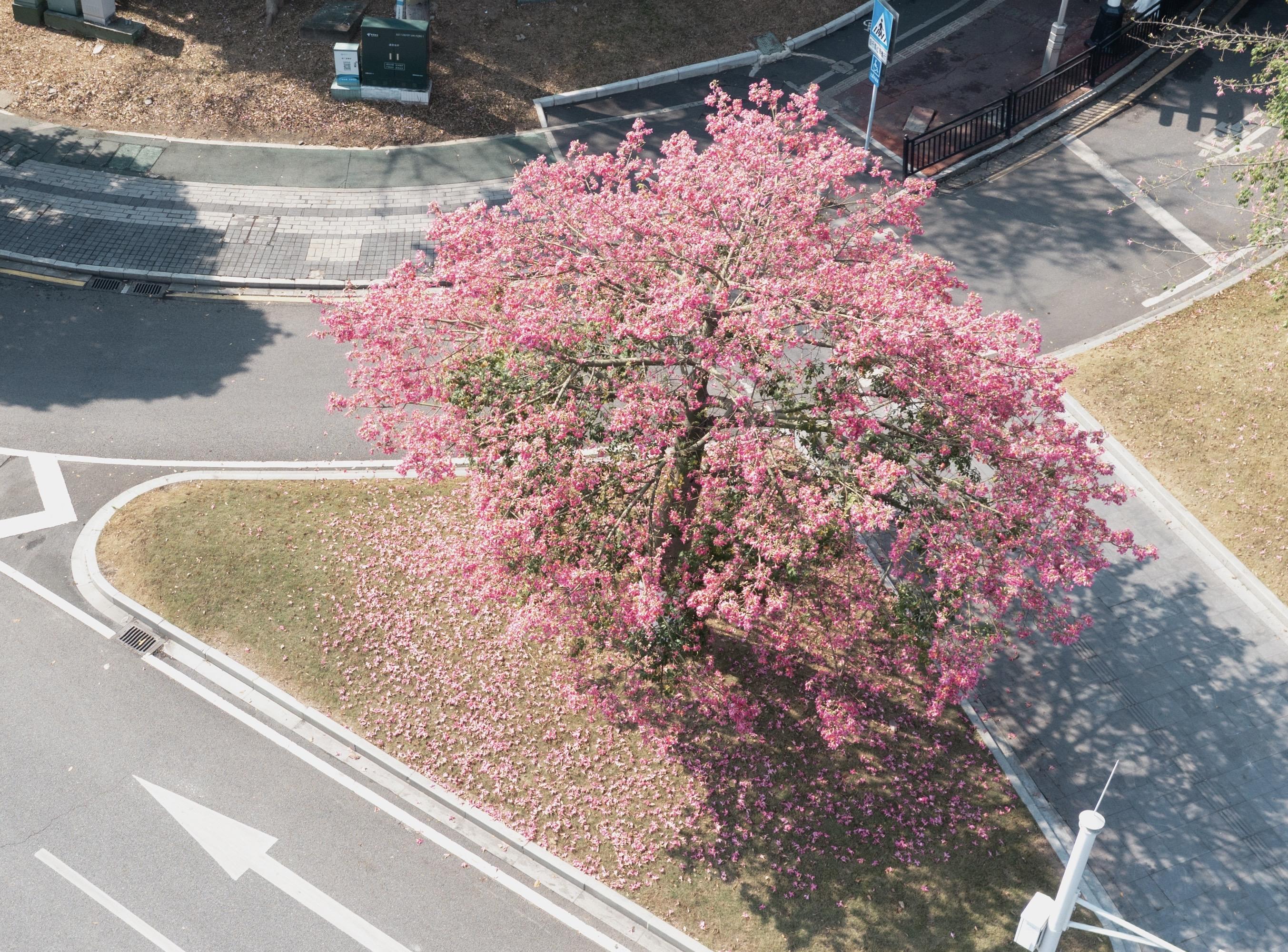 8beae93e7e0305be44bccb22f13492de