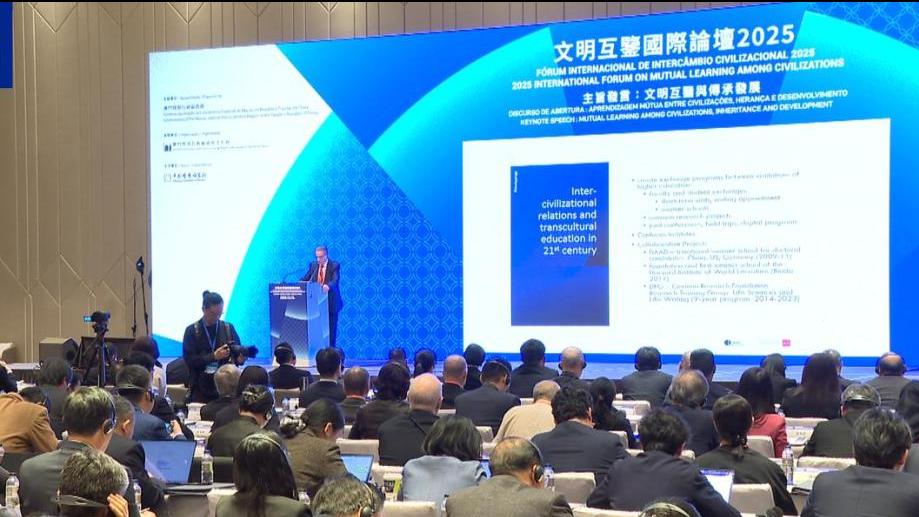 文明互鉴国际论坛｜吴志良：澳门经验展示文明和谐共处可能