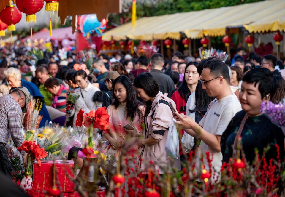 近3000人参与！2026年天河区迎春花市标王出炉