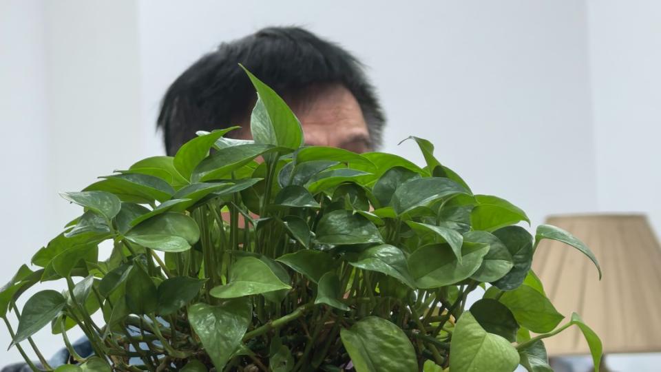 女儿重组家庭，七旬夫妇立遗嘱，房产只给亲外孙