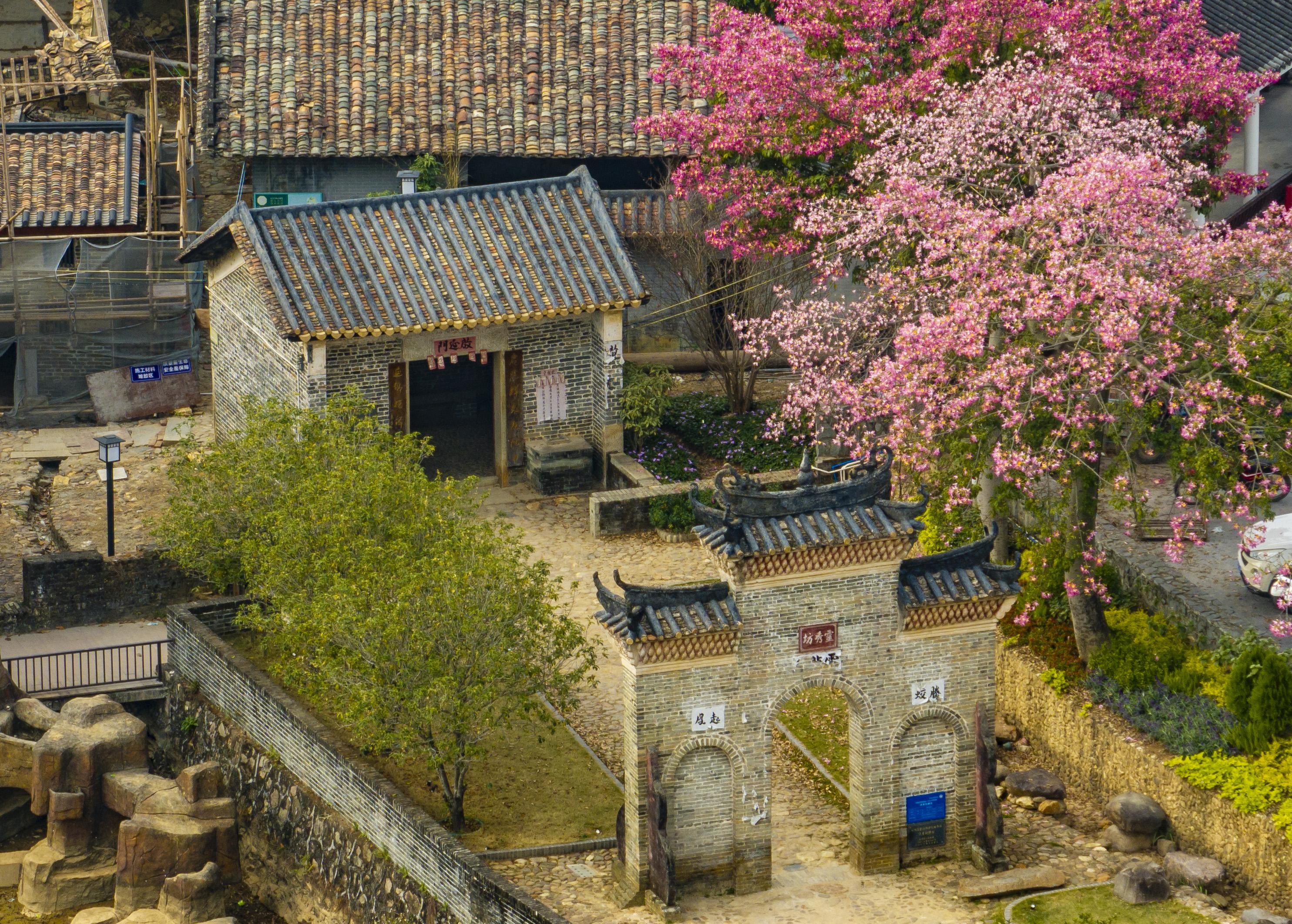 廖雪明-lxm251210 (1)-FZ100414857376.jpg