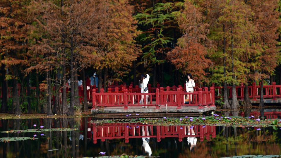 本周中后段广州将再次加入“降温群聊”，预计降温4～6℃