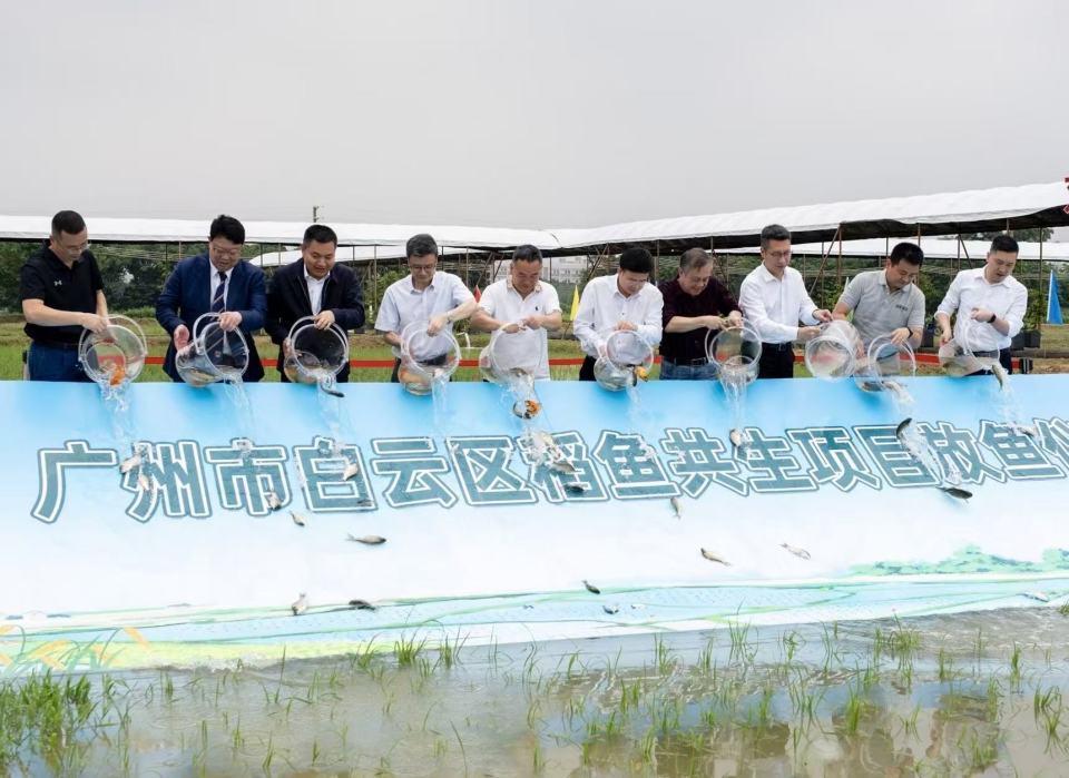 地尽其用，产业融合！广州白云“点”出农旅发展新图景