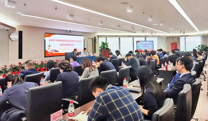 林和街召开党史学习教育动员大会