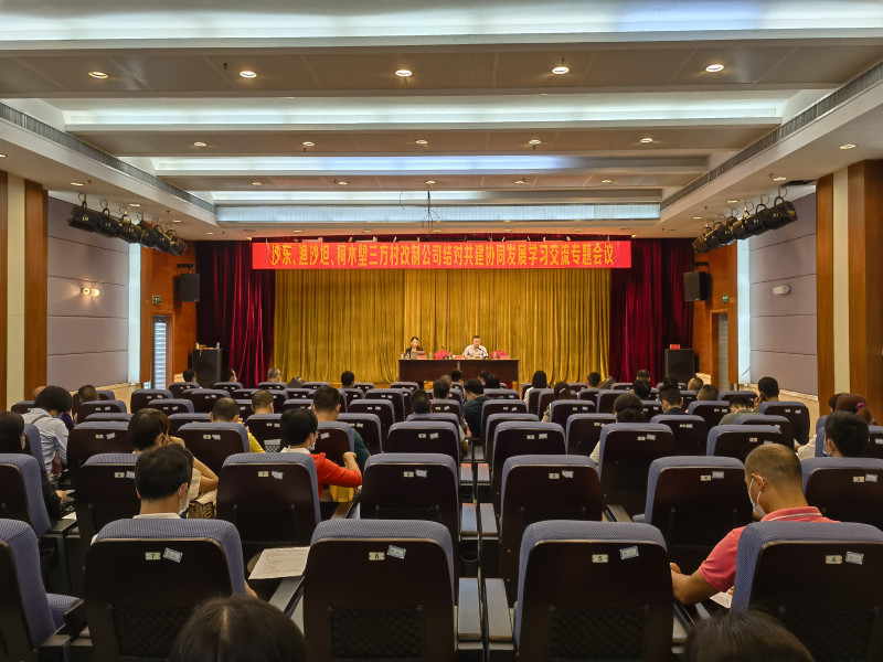 党史丨沙东街召开结对共建协同发展学习交流专题会议