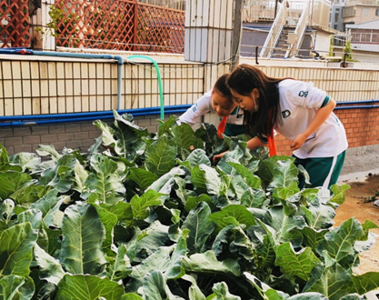 劳动，让我们的校园更美