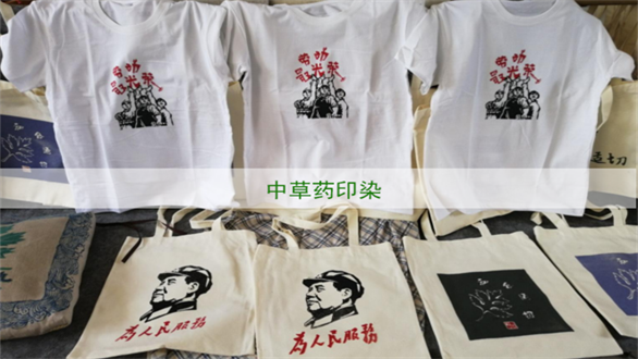 增城区高级中学劳动教育品牌