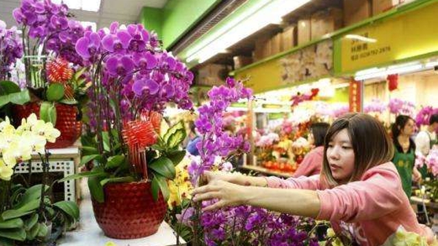 广州各区花市“标王”都卖啥？