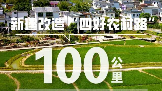 2020广州关键词|新建改造农村路100公里