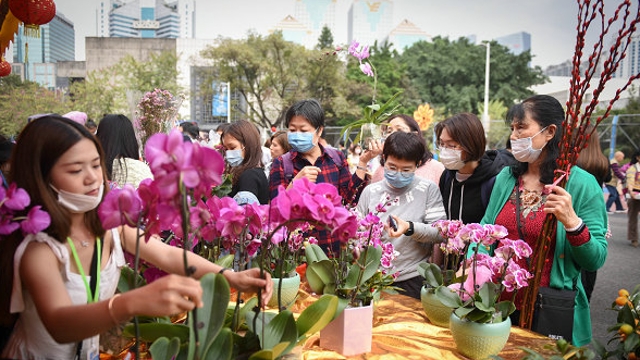 线上+线下！广州今年创新办花市，3种“购花地图”任君选择