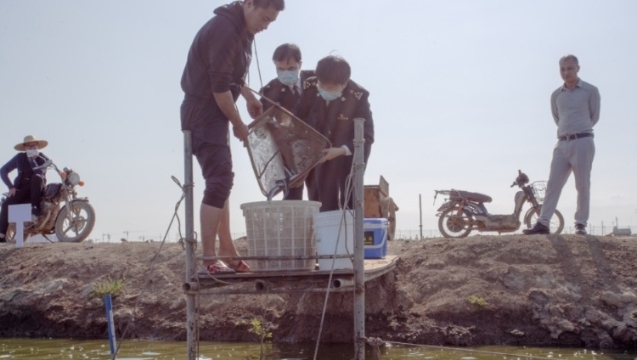 【新春走基层】在粤过年：“鱼满仓，快通关，我在南沙检验检疫忙”