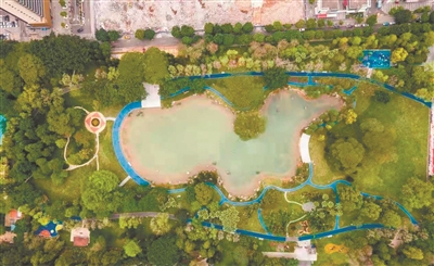 为群众办实事丨黄埔公园改造焕发新活力更靓更亲民