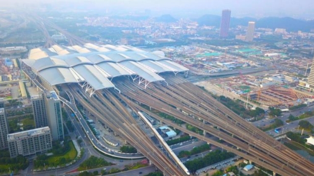 抢抓机遇接续奋斗 共同推进湾区建设