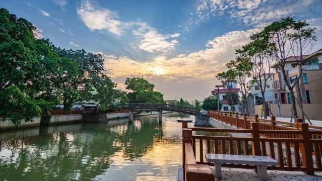 “红色巴士”体验乡村振兴成果